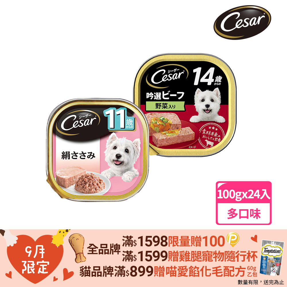 【Cesar西莎】熟齡餐盒 高齡犬 100g*24入 寵物/狗罐頭/狗食