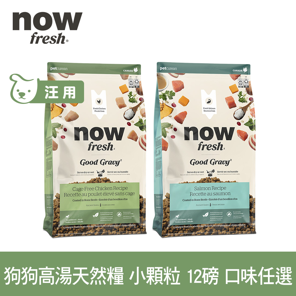 now 小型犬雞肉/鮭魚配方12磅 狗狗高湯天然糧