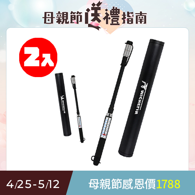 MICHELIN 米其林 自行車專用 迷你電動打氣機．附水壺固定座．110V充電座 12320 二入優惠組