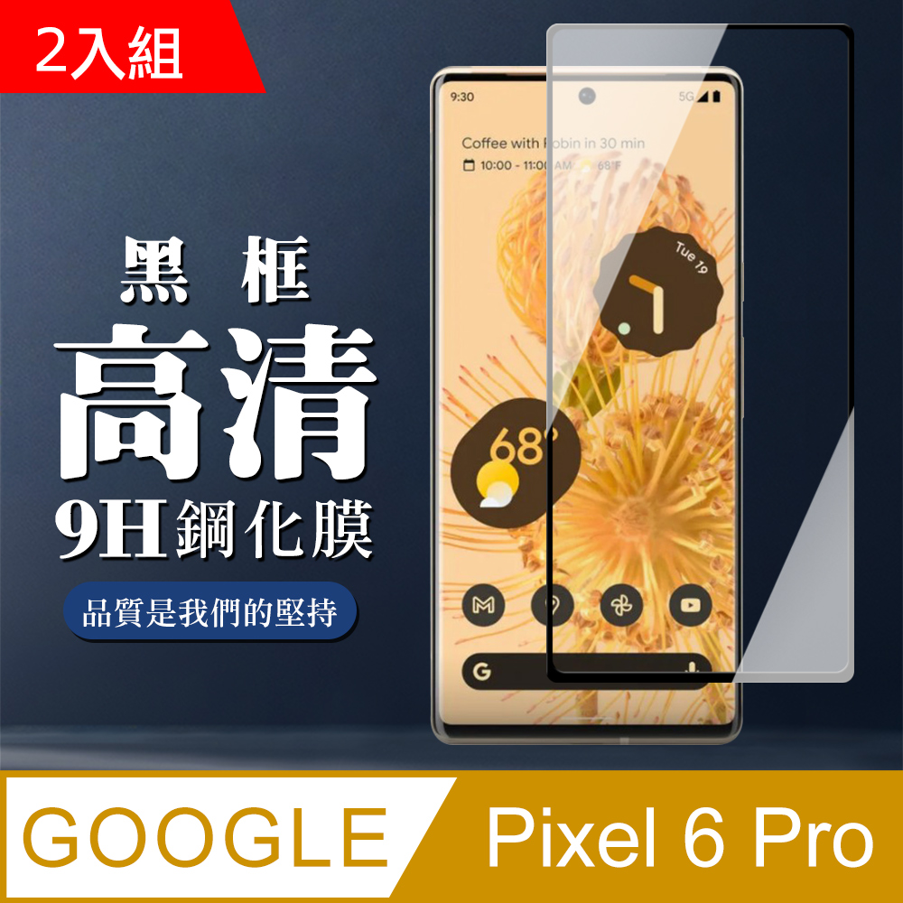 GOOGLE Pixel 6PRO 9H滿版玻璃鋼化膜黑框曲面手機保護貼-2入組