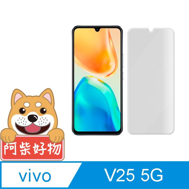 阿柴好物 Vivo V25 5G 非滿版 9H鋼化玻璃貼