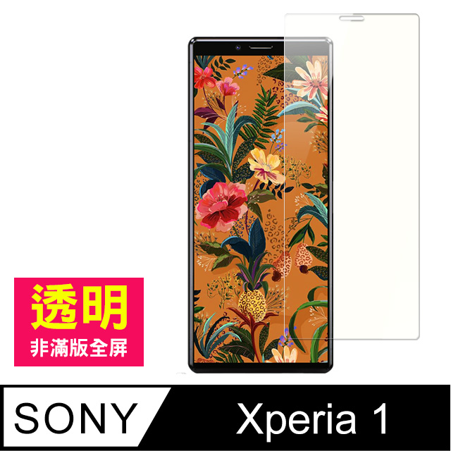 SONY Xperia 1 手機 透明 9H鋼化膜 保護貼