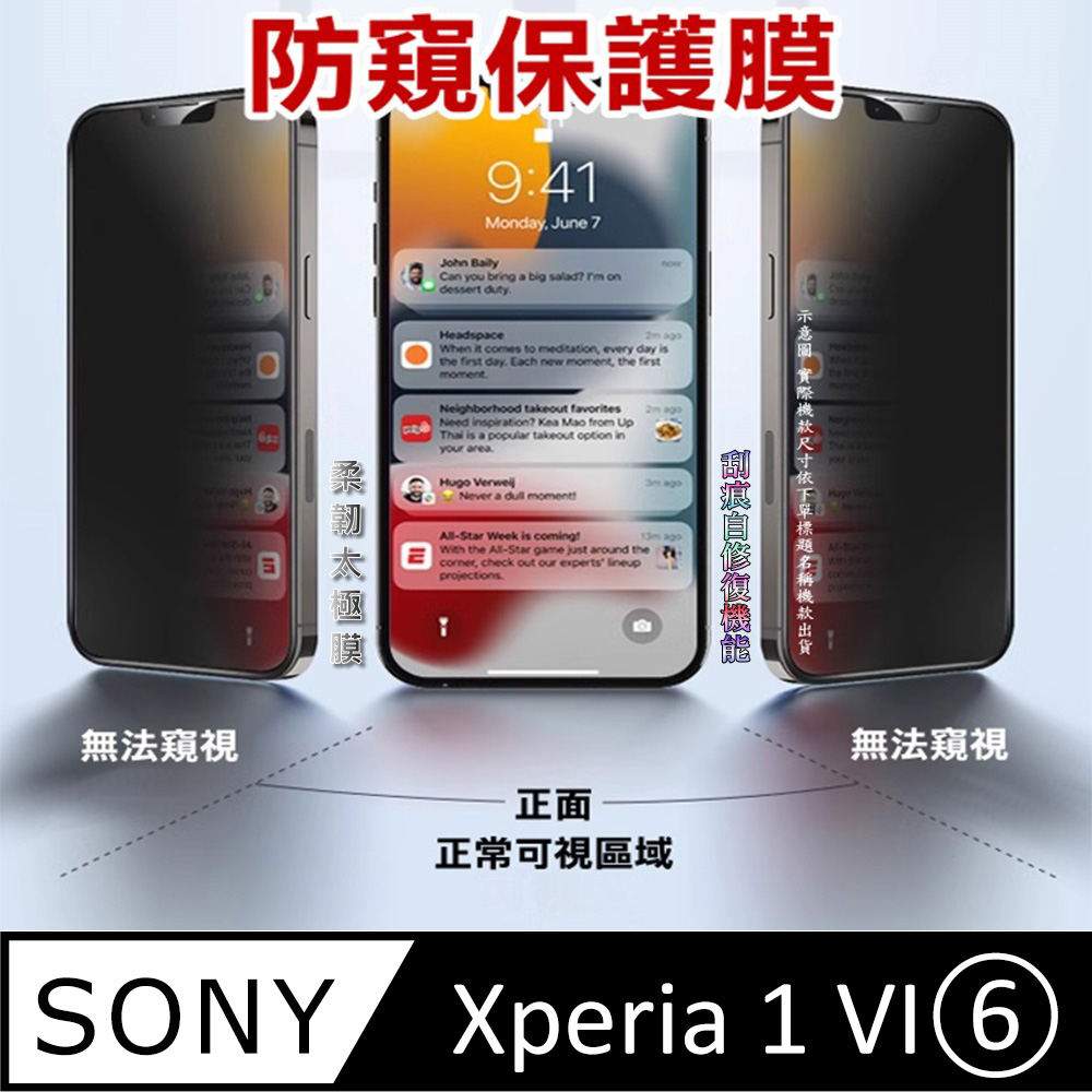^防窺磨砂款^ Sony Xperia 1 VI(6) 柔韌疏水防爆滿版螢幕保護貼