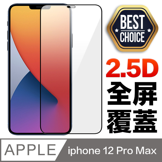 iPhone 12 Pro Max【6.7吋】2.5D 鋼化玻璃膜