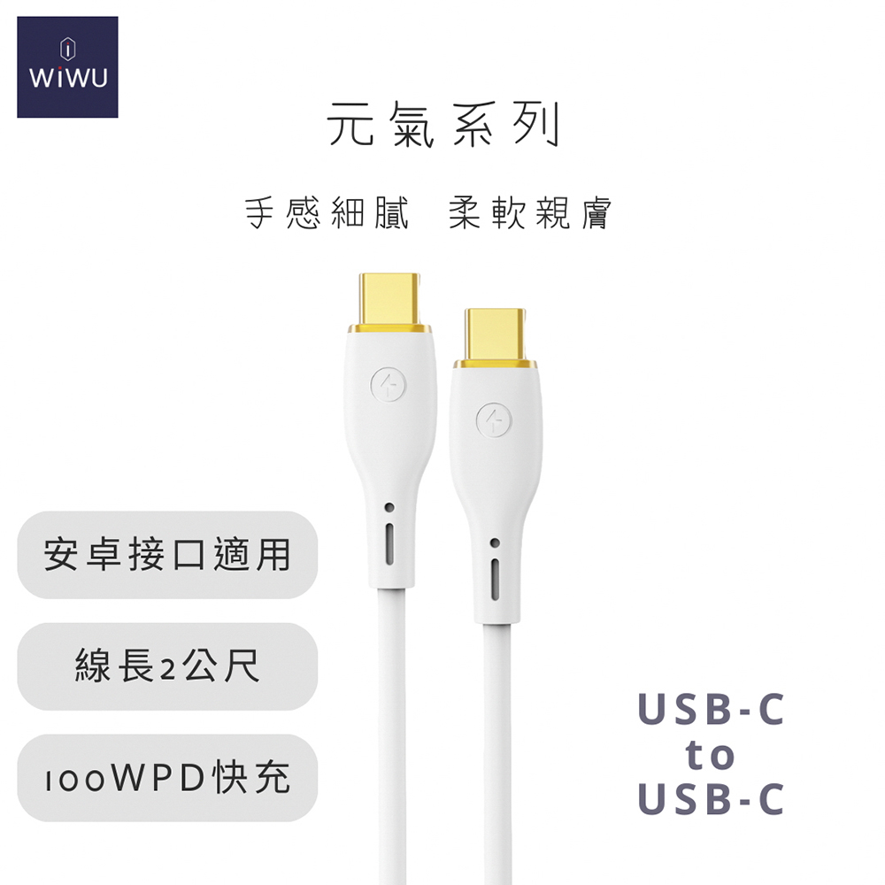 WIWU 元氣系列 100W PD快充數據線YQ04 TYPE-C 2米-白