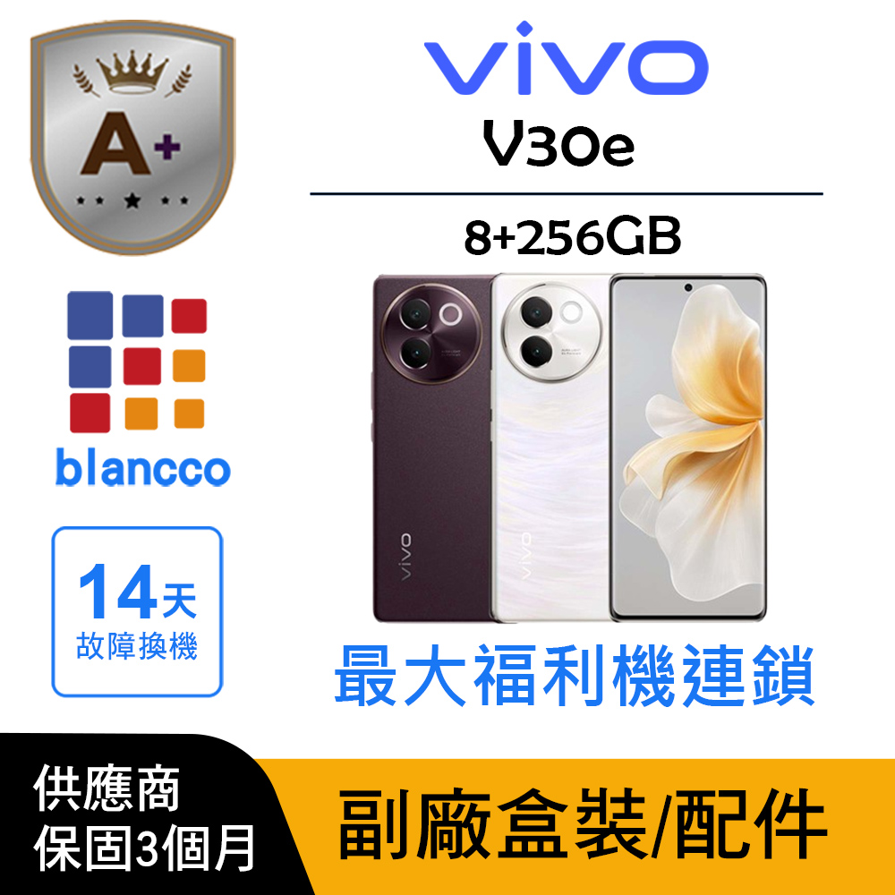 vivo V30