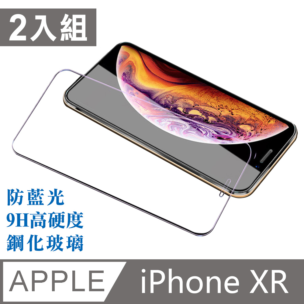 iPhone XR 6.1吋滿版鋼化玻璃保護貼2入組