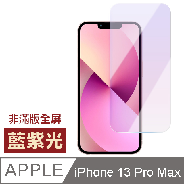 iPhone13ProMax保護貼 iPhone 13 Pro Max 非滿版 藍紫光 保護貼 手機 9H 鋼化膜