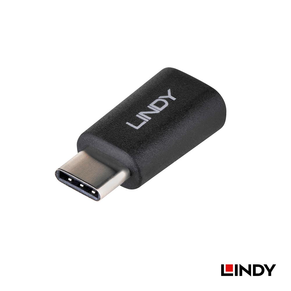 LINDY 林帝 USB 2.0 Type C/公 轉 Micro USB/母 轉接頭 (41896)
