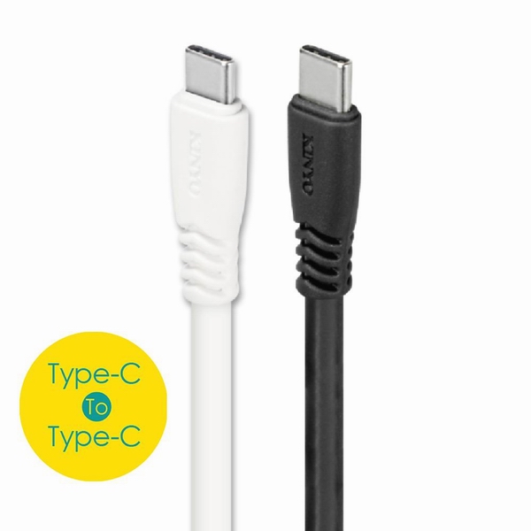 KINYO 5A極速TYPEC-C充電傳輸線USB-TYC01兩入裝