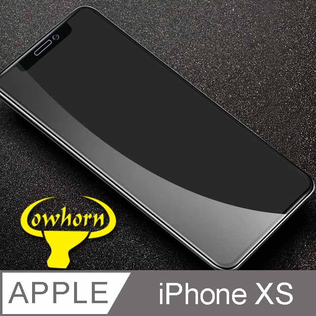 IPHONE X 2.5D曲面滿版 9H防爆鋼化玻璃保護貼 (黑色)