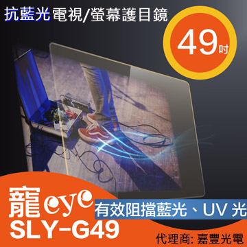 49吋 抗藍光液晶電視/螢幕護目鏡 (SLY-G49)