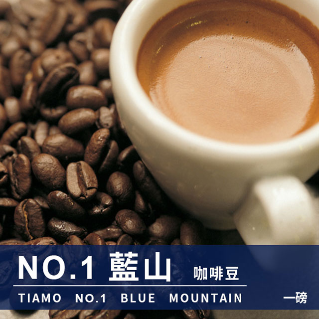 Tiamo NO.1藍山 咖啡豆 450g (HL0546)