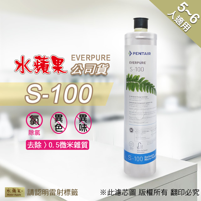 【水蘋果公司貨】EVERPURE S100 淨水濾心