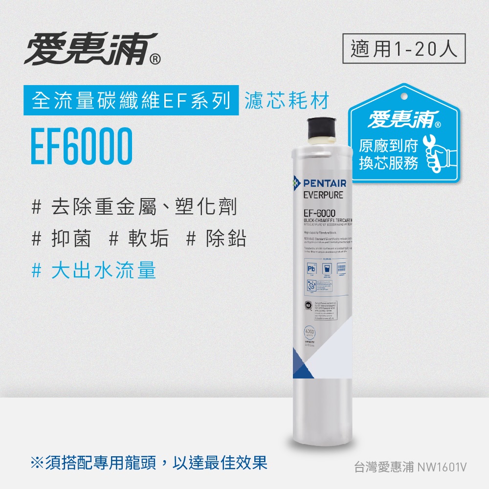 愛惠浦 到府安裝 全流量強效碳纖維系列濾芯 EVERPURE EF6000