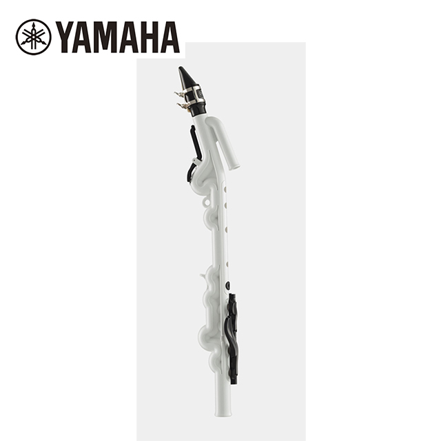 YAMAHA YVS-100 管樂器