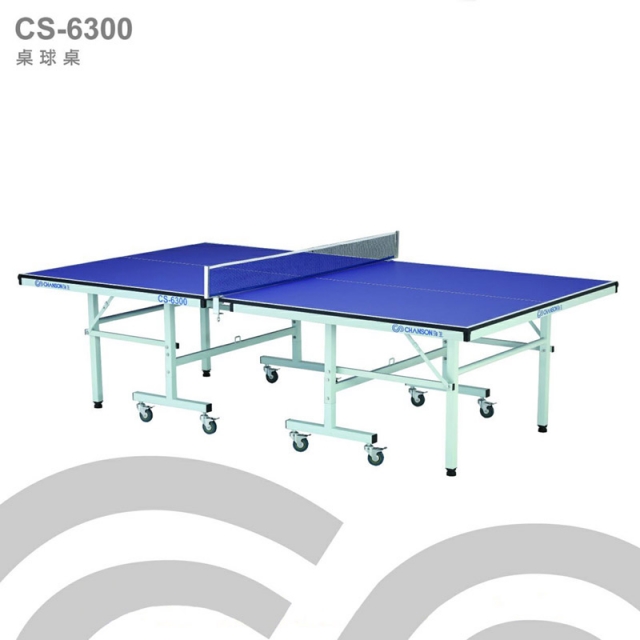 【1313健康館】Chanson強生牌 CS-6300桌球桌/乒乓球桌/桌球檯