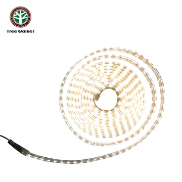 Tree Walker LED單色軟燈條-雙珠 白光