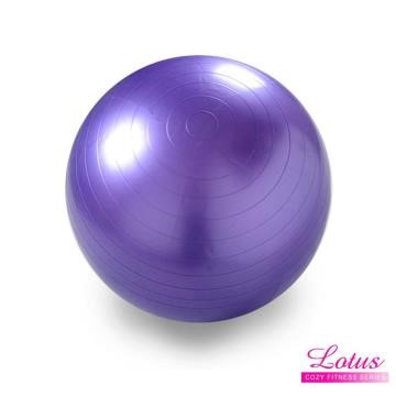 LOTUS 瑜珈抗力球 65cm伸展健身防爆瑜珈球-紫色