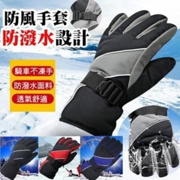 秋冬戶外男士成人防風防雨滑雪手套保暖手套騎車手套/單售