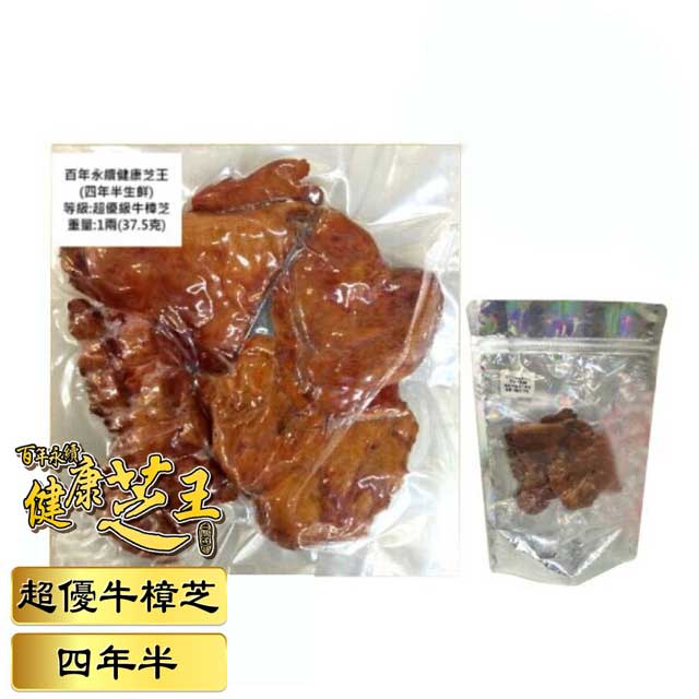 百年永續健康芝王 (四年半) 牛樟芝 生鮮品 37.5g x1兩