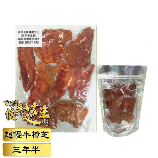 百年永續健康芝王 (三年半) 超優級牛樟芝 生鮮品 37.5g x1兩