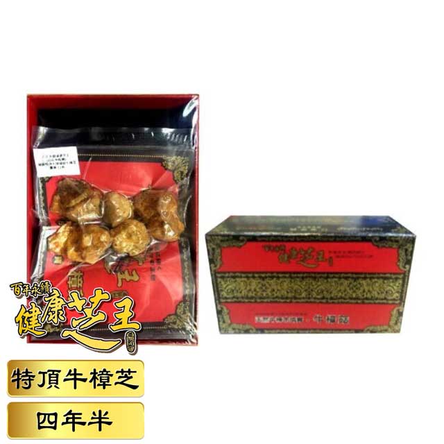 百年永續健康芝王 (四年半乾燥) 特頂大球菇牛樟芝/菇 乾燥品- 11g x1兩