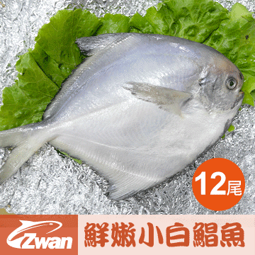 【日丸水產】嚴選鮮嫩正小白鯧魚12尾(420g±10%*2包)