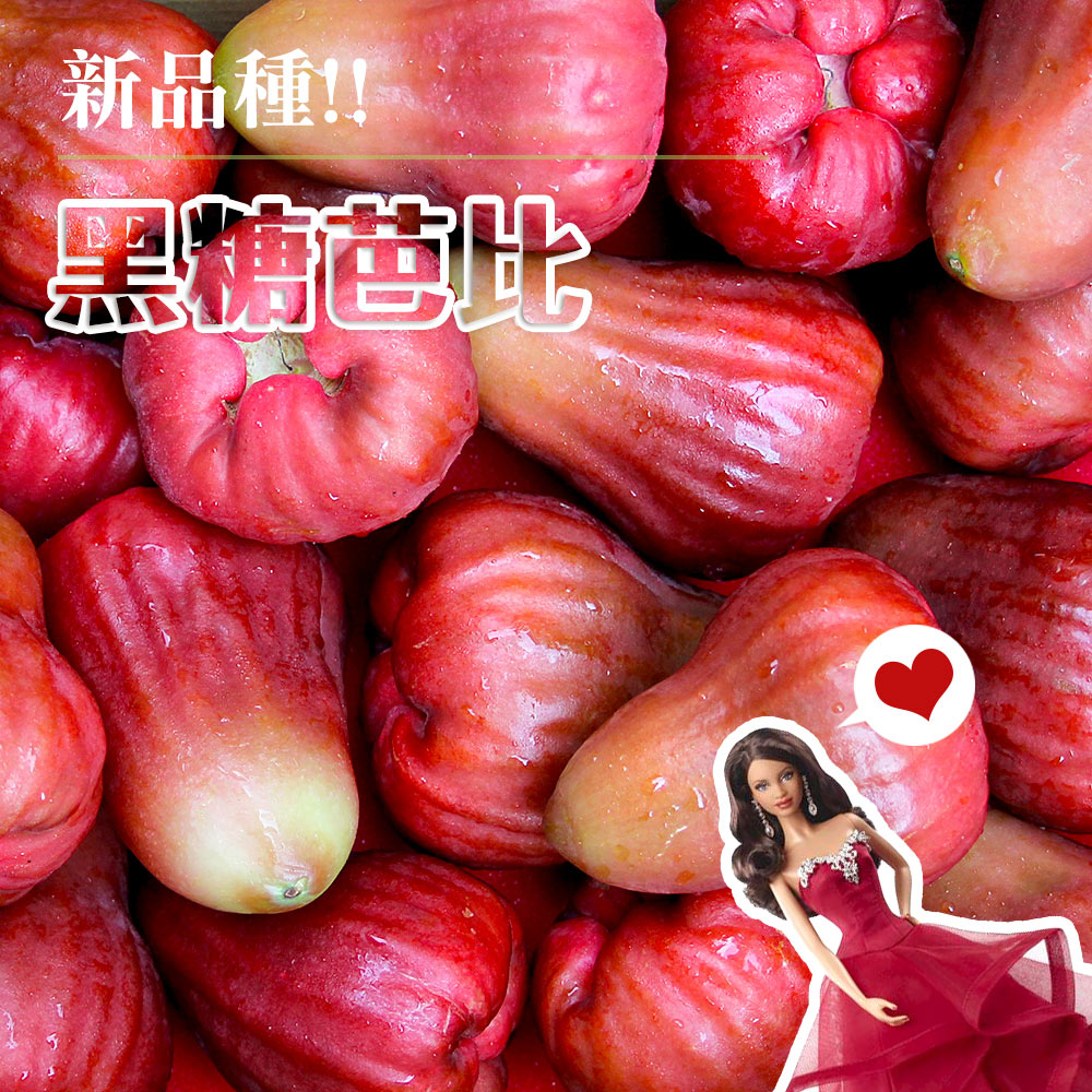 【鮮果日誌】蓮霧界的LV 黑糖芭比4臺斤