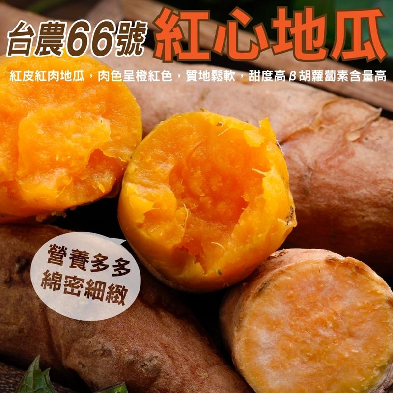 【WANG蔬果】台農66號紅心地瓜(10斤±10%)