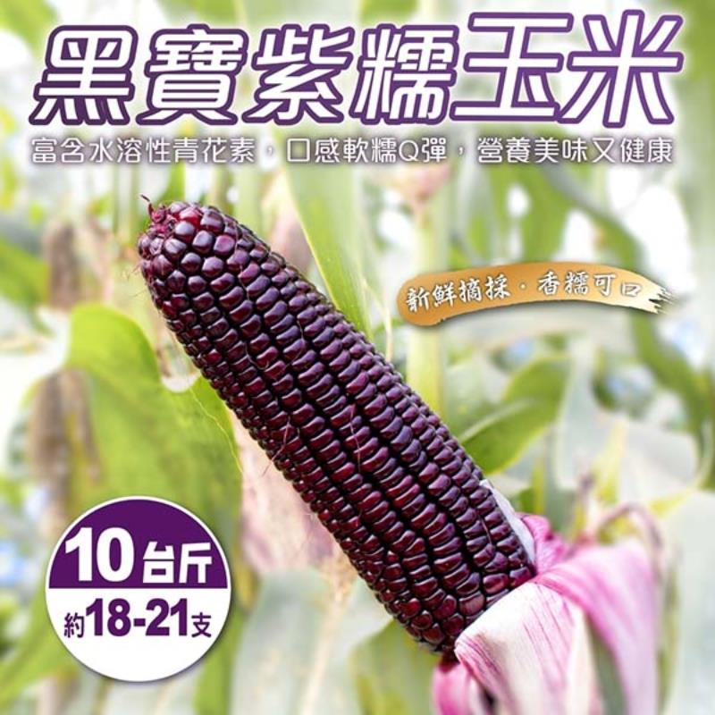 【WANG蔬果】黑寶紫糯米玉米(10斤±10%)