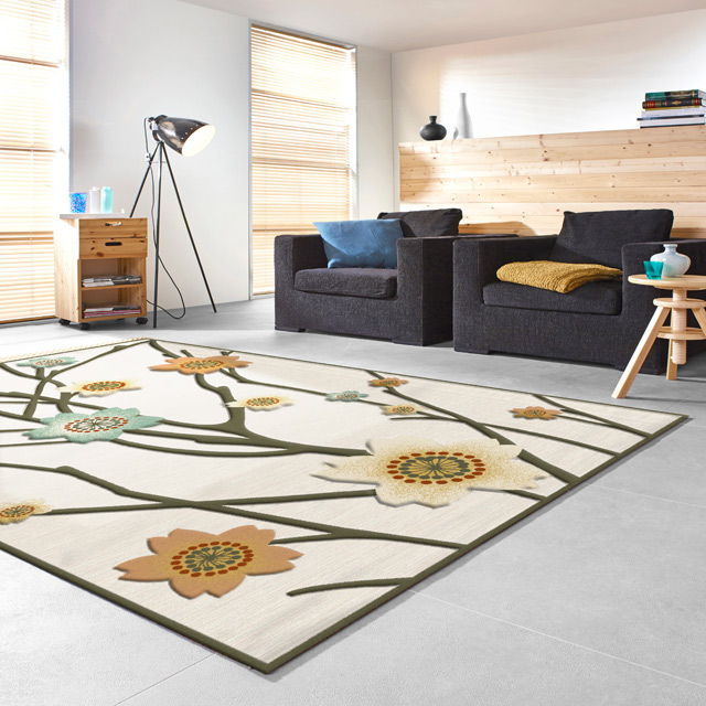 范登伯格 法拉立體層次分明進口絲質地毯-花草160x230cm