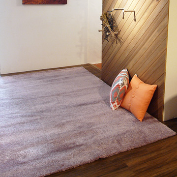范登伯格 舒蕾柔感比利時亮澤柔軟長毛地毯(共8色)160x240cm
