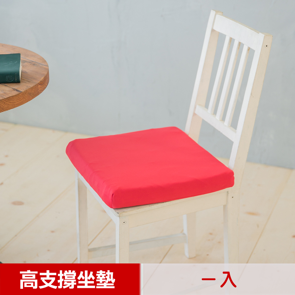 【凱蕾絲帝】台灣製造-久坐專用二合一高支撐記憶聚合紓壓坐墊-棗紅(一入)