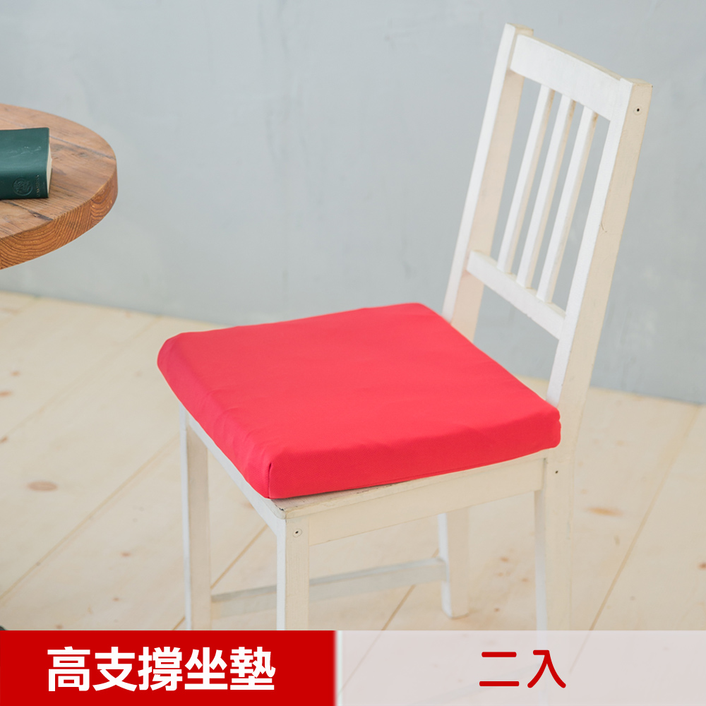 【凱蕾絲帝】台灣製造-久坐專用二合一高支撐記憶聚合紓壓坐墊-棗紅(二入)