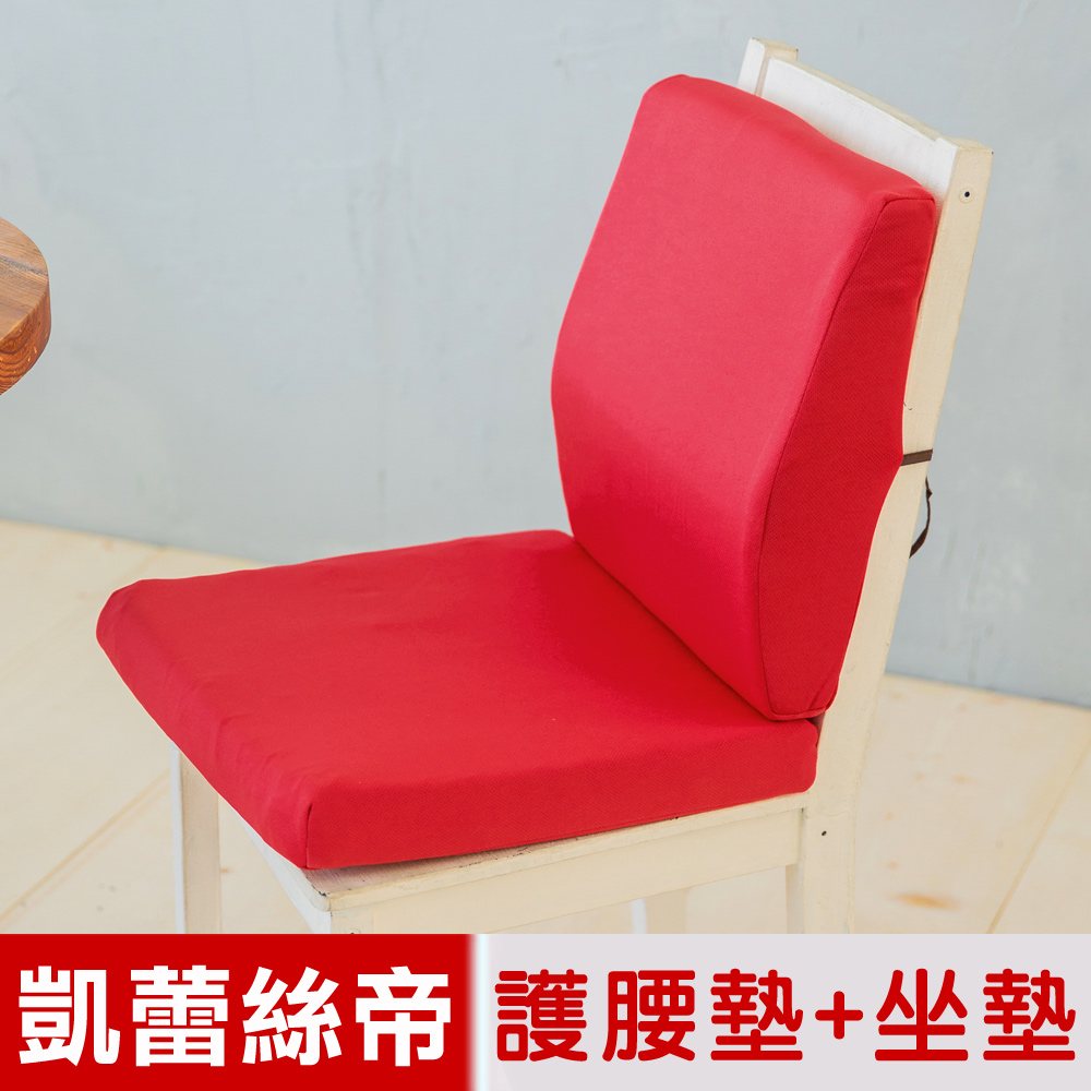 【凱蕾絲帝】台灣製造-久坐良伴柔軟記憶護腰墊+高支撐坐墊兩件組-棗紅