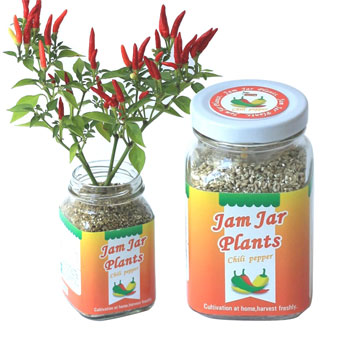 【迎光】Jam Jar Plants小植栽-五彩辣椒