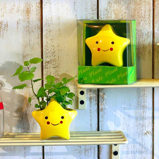 【迎光】Cute plant陶瓷植栽-星星