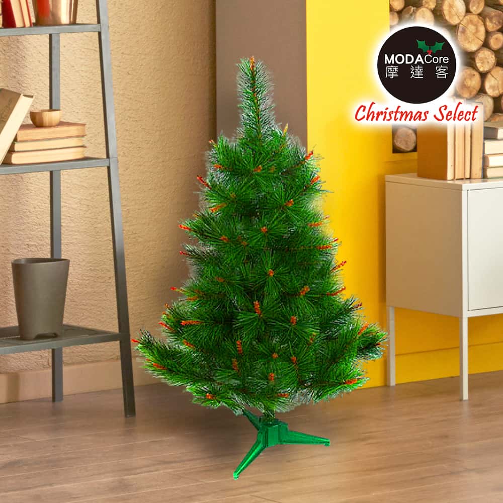 【摩達客】台灣製2尺/2呎(60cm)特級綠色松針葉聖誕樹裸樹 (不含飾品)(不含燈)