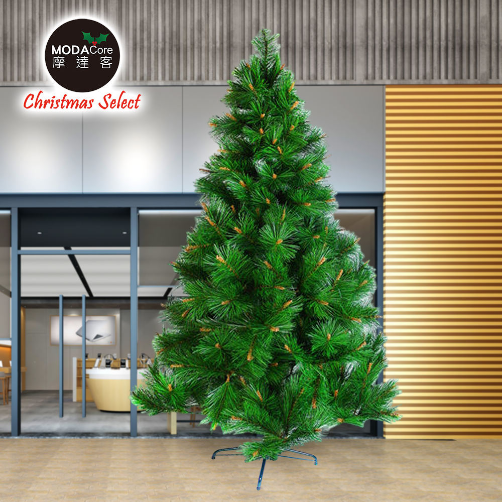 【摩達客】台灣製12尺/12呎(360cm)特級綠色松針葉聖誕樹裸樹 (不含飾品)(不含燈)