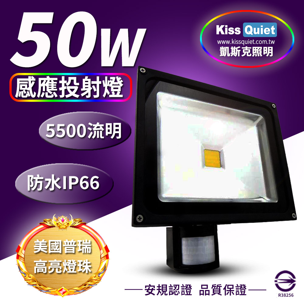 《Kiss Quiet》 質感黑(白光/黄光)50W LED感應投射燈,全電壓高PF-1入