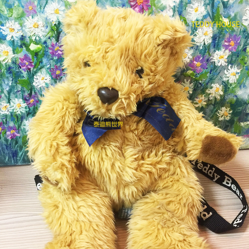 泰迪熊 TEDDY BEAR束毛熊背包泰迪熊~超讚~~給小朋友最佳禮物~平時可當玩伴~出外可當背包~