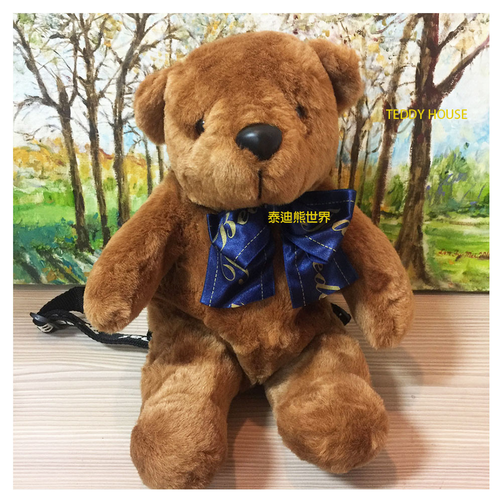 泰迪熊 TEDDY BEAR棕熊背包泰迪熊~超讚~~給小朋友最佳禮物~平時可當玩伴~出外可當背包~