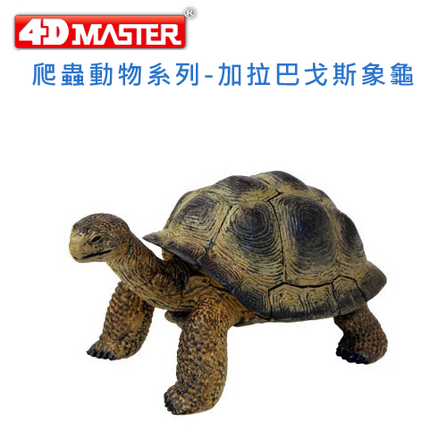 【4D MASTER】爬蟲類系列 - 加拉巴戈斯象龜 26493