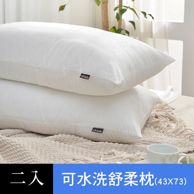 義大利La Belle《日本防蹣抗菌可水洗極致舒柔枕》二入