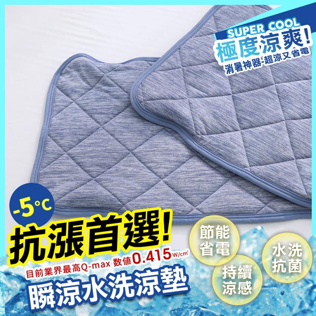 鴻宇 涼感-5度C 瞬涼可洗抗菌枕頭保潔墊2入 SUPERCOOL接觸涼感