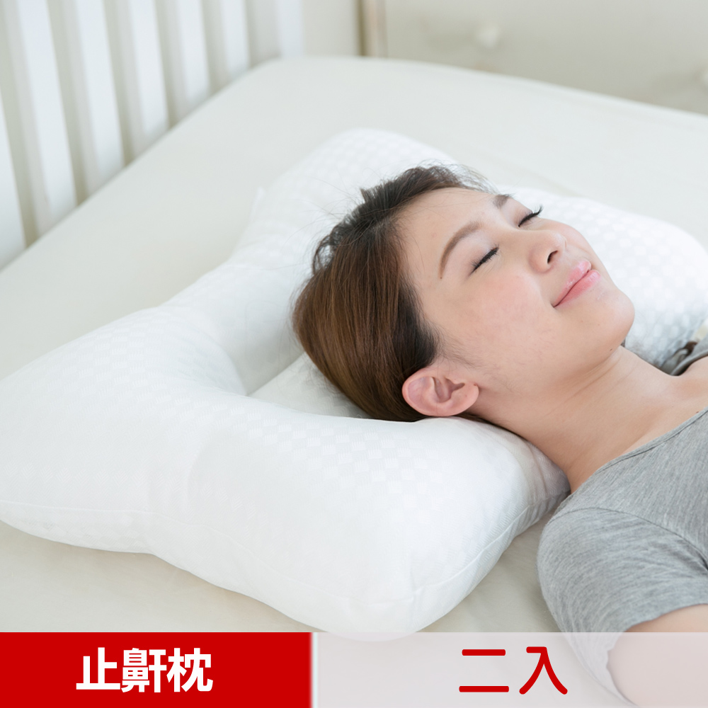 【凱蕾絲帝】台灣製造~平凹造形可水洗物理健康止鼾枕(二入)