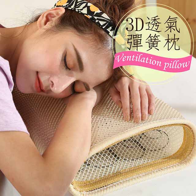 BuyJM 3D透氣網布彈簧枕(枕套可拆)