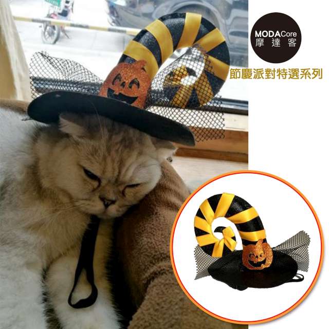 【摩達客寵物】寵物萬聖節派對-黃黑彎角網紗南瓜巫婆帽變裝造型貓咪小狗頭飾