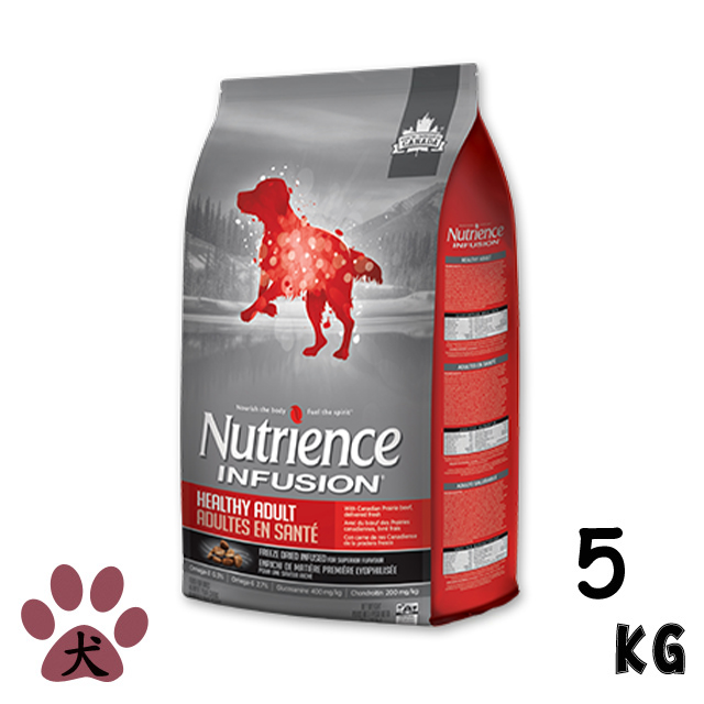 【Nutrience紐崔斯】Infusion天然成犬-牛肉+豬肉5kg